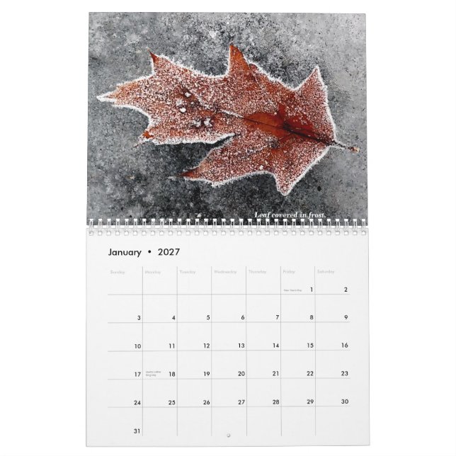 2021 Calendar (Jan 2027)