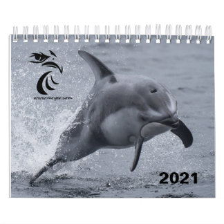 2021 Calendar - Pacific White Sided Dolphins