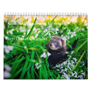 2021 Ferret Calendar