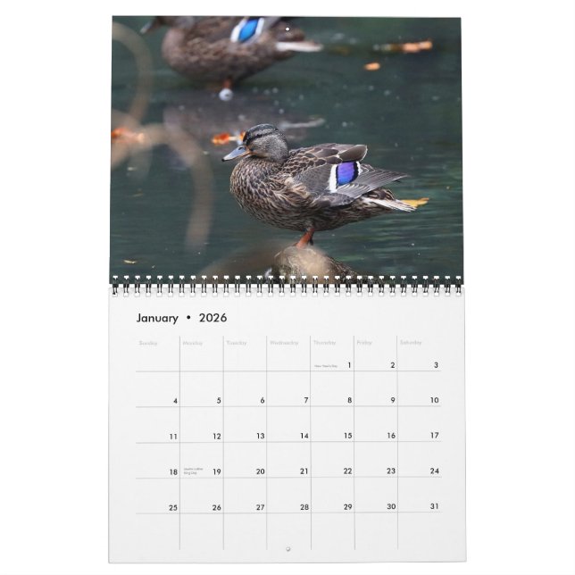 2021 Mallards Calendar (Jan 2026)