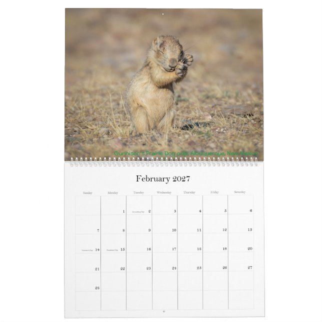 2021 Nature Calendar (Feb 2027)