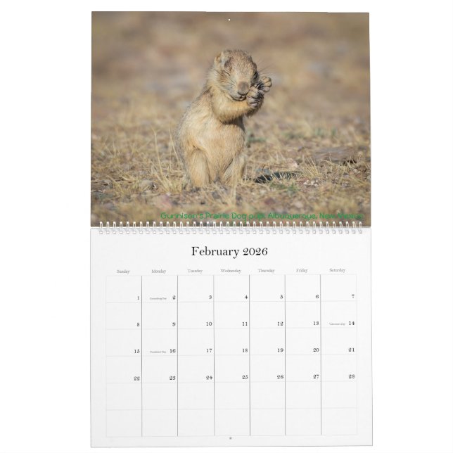 2021 Nature Calendar (Feb 2026)