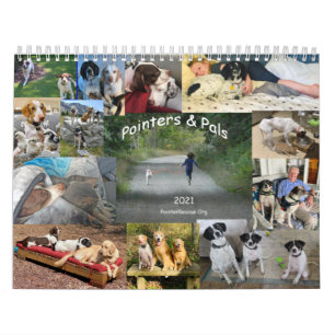 2021 Pointers & Pals Calendar by PointerRescue Org