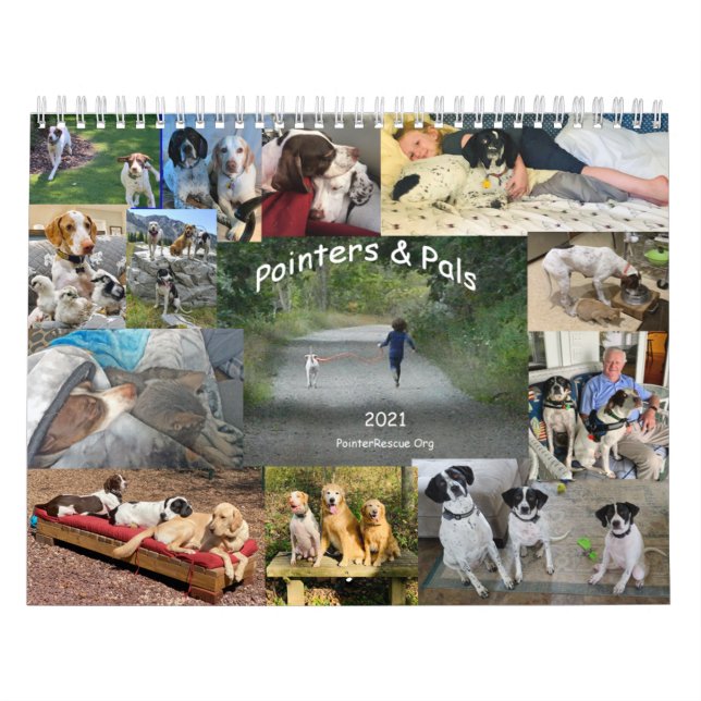 2021 Pointers & Pals Calendar by PointerRescue Org (Cover)