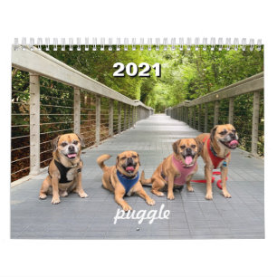 2021 Puggle Calendar