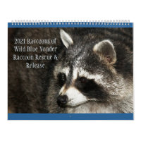 2021 Raccoons of Wild Blue Yonder