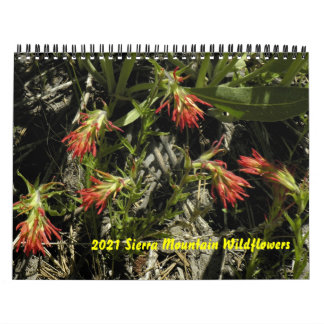 2021 Sierra Mountain Wildflower Calendar