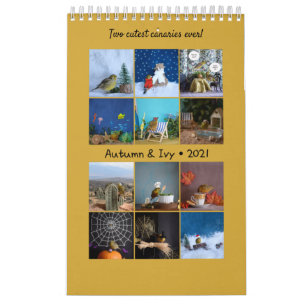 2021 Wall Calendar Cute Birds Pets Canary