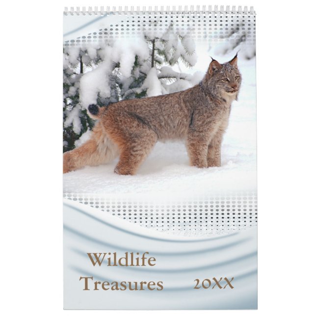 2021 Wildlife Treasures Wall Calendar (Cover)