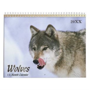 2021 Wolves Wildlife Calendar
