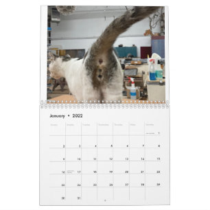 20222 Cat Butt Calendar