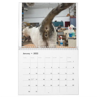 20222 Cat Butt Calendar