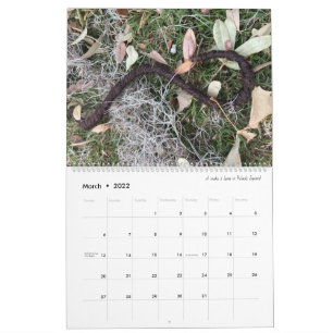 2022 11x14 Savannah Tumbleweaves Calendar