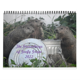 2022 12 Month Groundhog Photo Wall Calendar