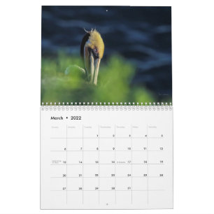 2022 Beautiful Birds Wall Calendar