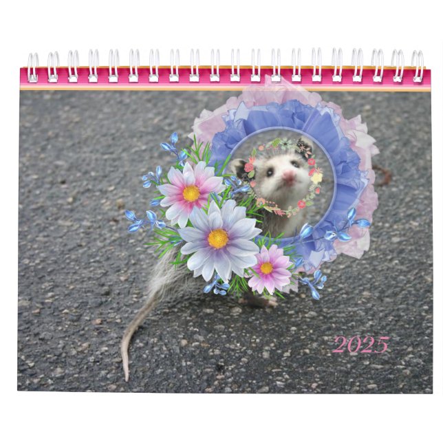2022 Calendar Colourful Stripes Opossum Floral (Back)