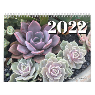 2022 Colourful Succulent Plant Calendar