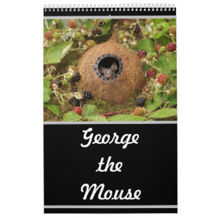 2022 George the mouse calendar
