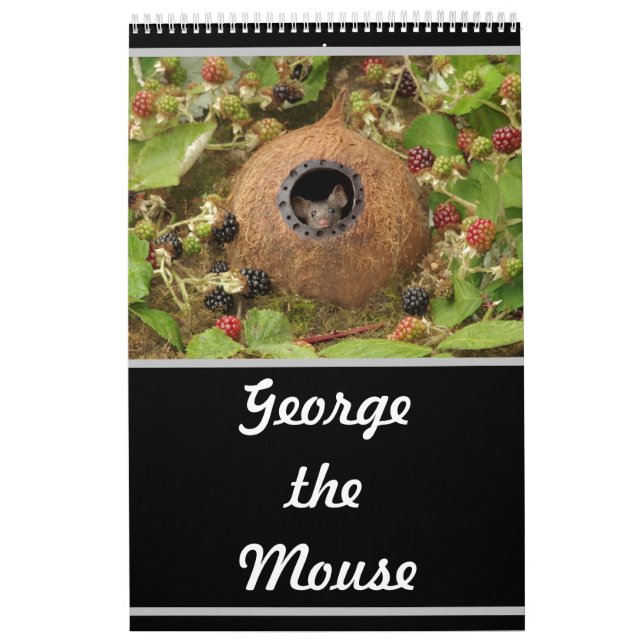 2022 George the mouse calendar  (Cover)