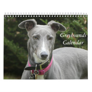 2022 Greyhounds calendar