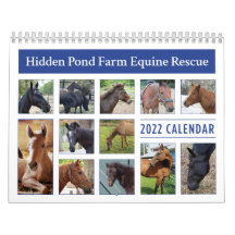 2022 HPF Calendar - 8.5x11 inches