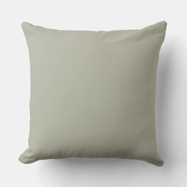 2022 October Mist interior design trend colour. El Cushion (Front)