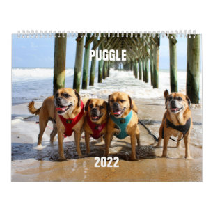2022 Puggle Calendar