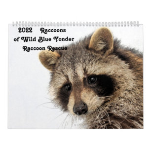 2022 Raccoons of Wild Blue Yonder Racoon Rescue Calendar