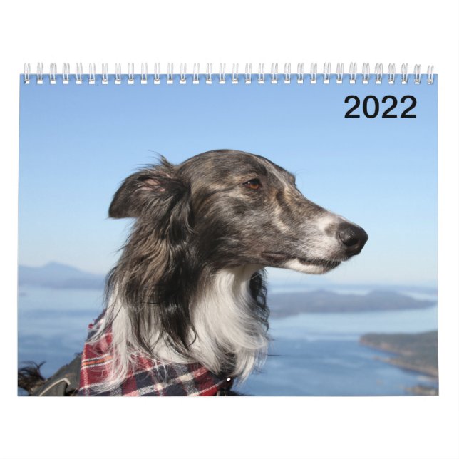 2022 Silken Windhounds (Head shots) Calendar (Cover)