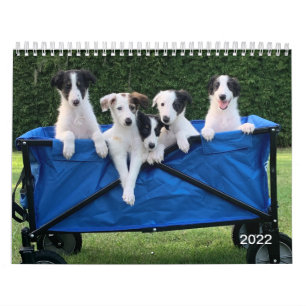2022 Silken Windhounds (Puppies) Calendar