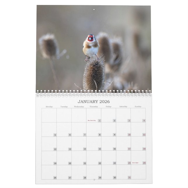 2022 UK Wildlife Calendar (Jan 2026)
