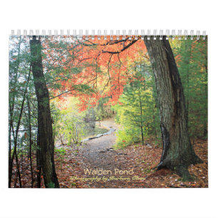 2022 Walden Pond-4 season: Calendar