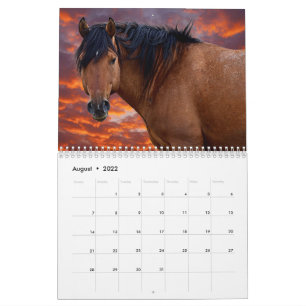 2022 Wild HOrse Calendar