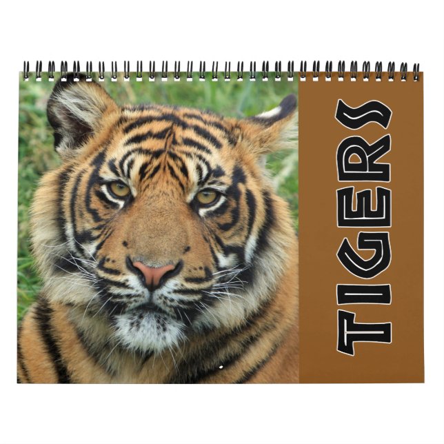 2022 Wild Tiger Calendar (Cover)