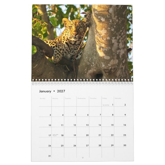 2022 Wildlife Wall Calendar (Jan 2027)