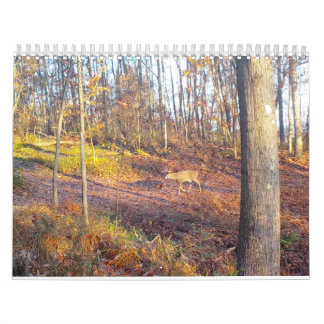 2023 Animals of nature Calendar