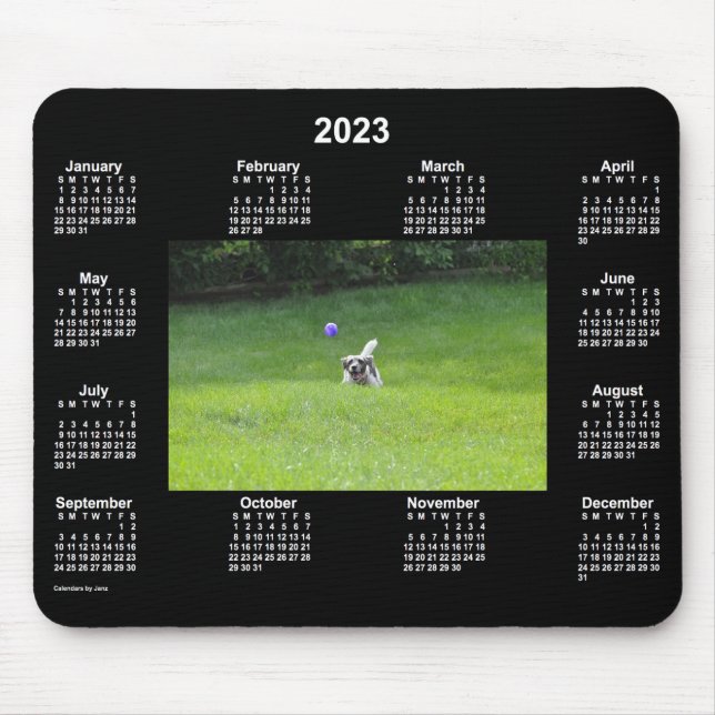2023 Ball Playing Dog Neon Photo Calendar by Janz Mouse Pad (Front)