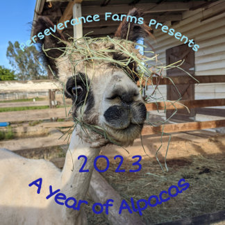 2023 Calendar - A Year of Alpacas