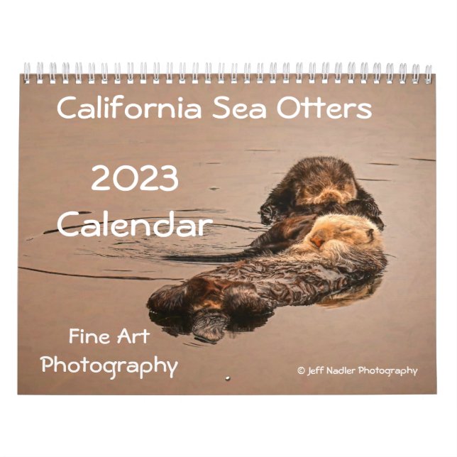 2023 California Sea Otters Wall Calendar (Cover)