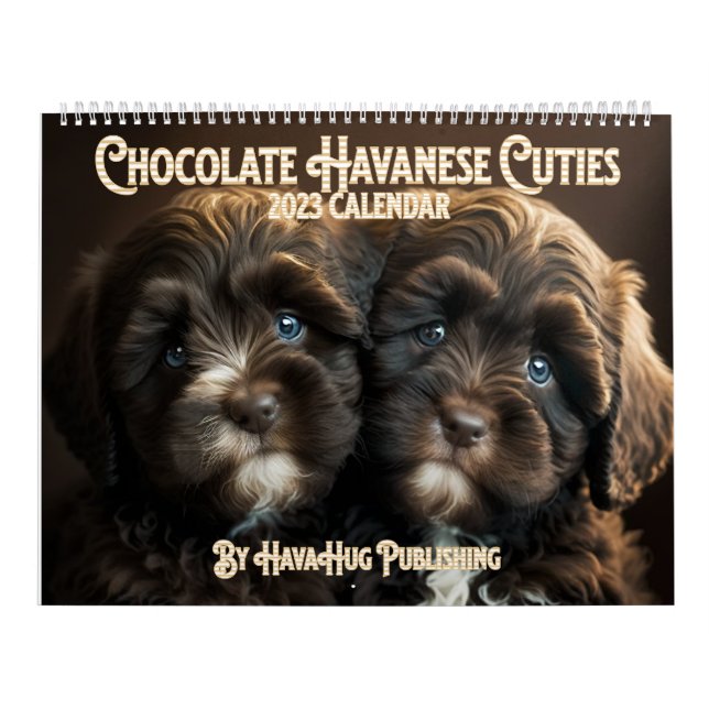 2023 Chocolate Havanese Puppy Calendar By HavaHug (Cover)