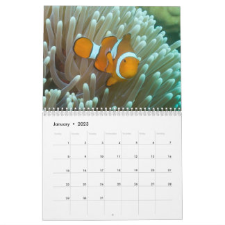 2023 Coral Sea Calendar