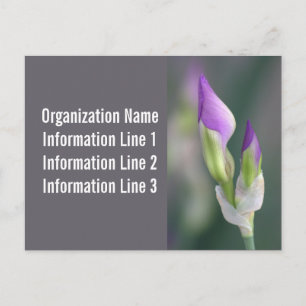 2023 Custom Company Postcard Calendar