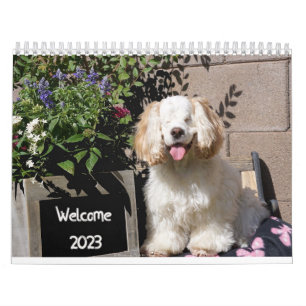 2023 Cute & Adorable Dog Calendar