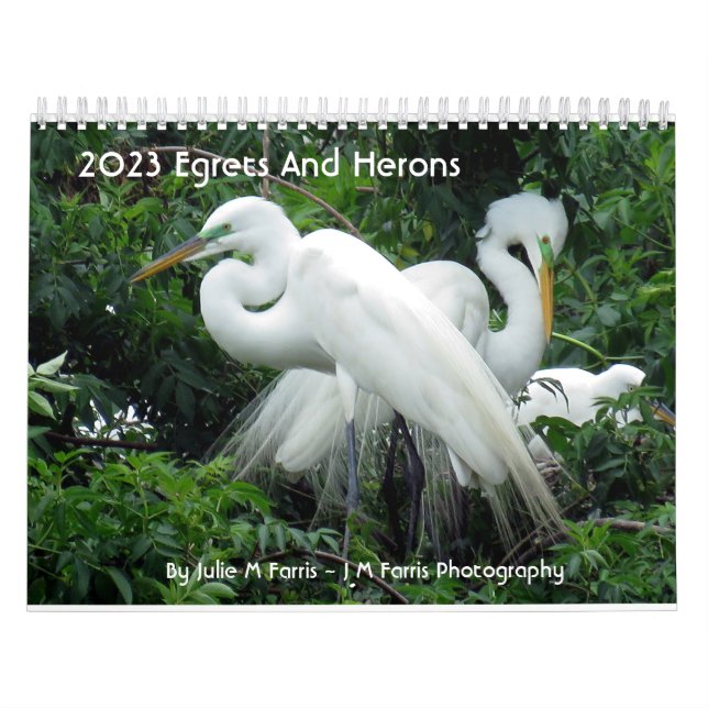 2023 Egrets And Herons 2 Calendar (Cover)