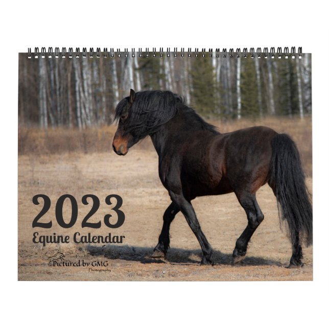 2023 Equine Photo Calendar (Cover)