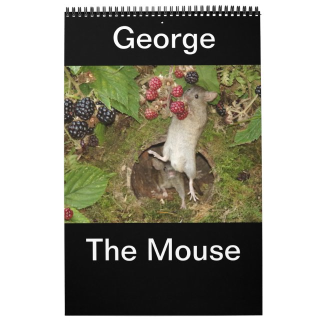 2023 george the mouse  calendar (Cover)