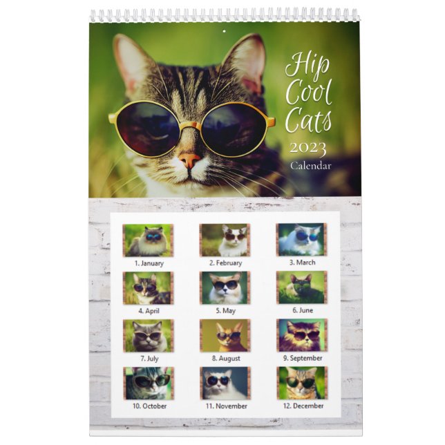 2023 Hip Cool Cats Wall Calendar (Cover)
