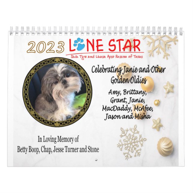 2023 LSSTLAR Calendar (Cover)