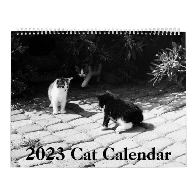2023 Modern Cat Calendar (Cover)