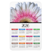 2023 Pink and White Gerbera Daisy Calendar